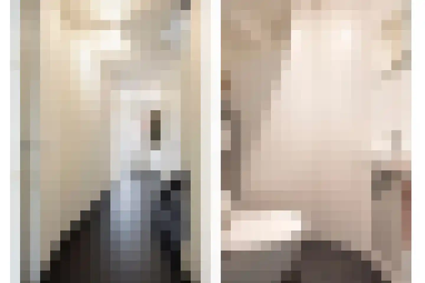 Muldershuis 17 Mierlo thumbnail 12