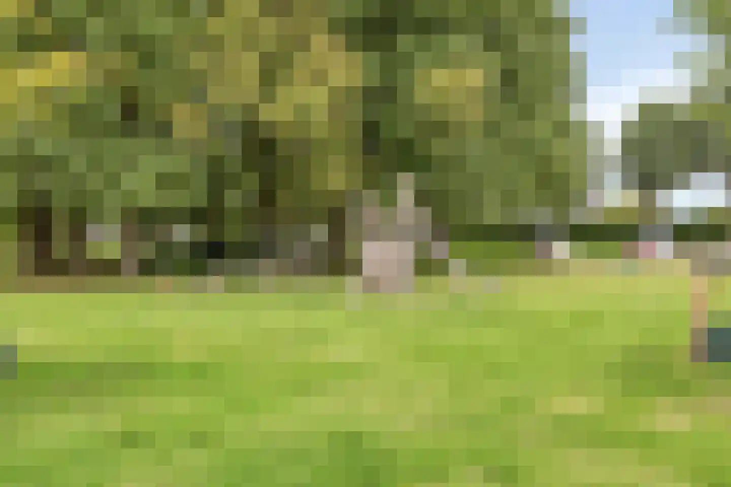 Muldershuis 17 Mierlo thumbnail 45