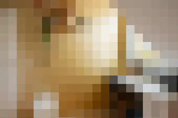 Mulderskamp 11 Vorden thumbnail 28