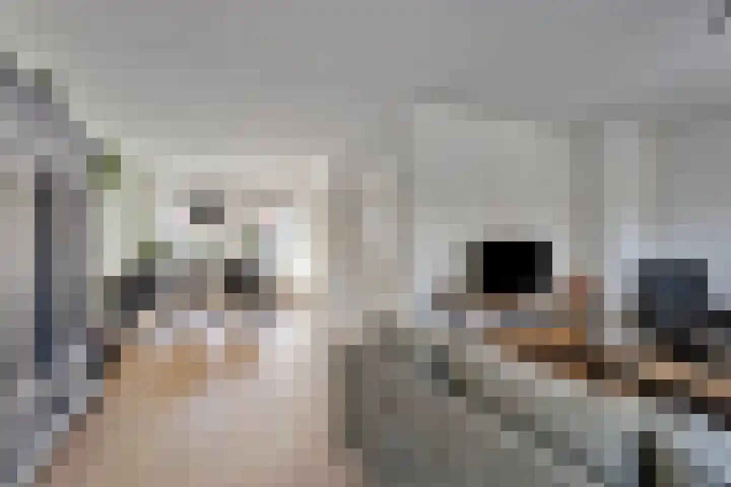 Mulderskamp 33 Vorden thumbnail 10