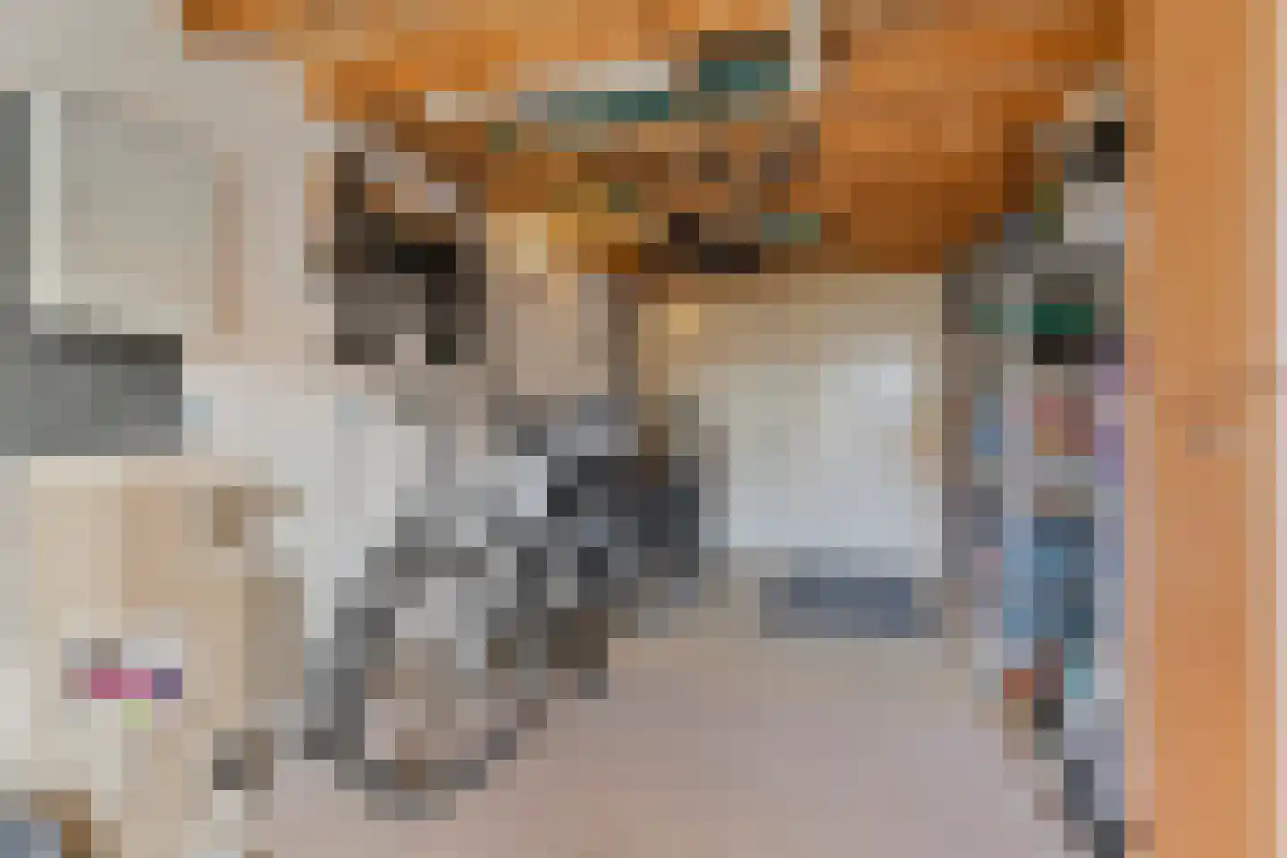 Mulderskamp 33 Vorden thumbnail 18