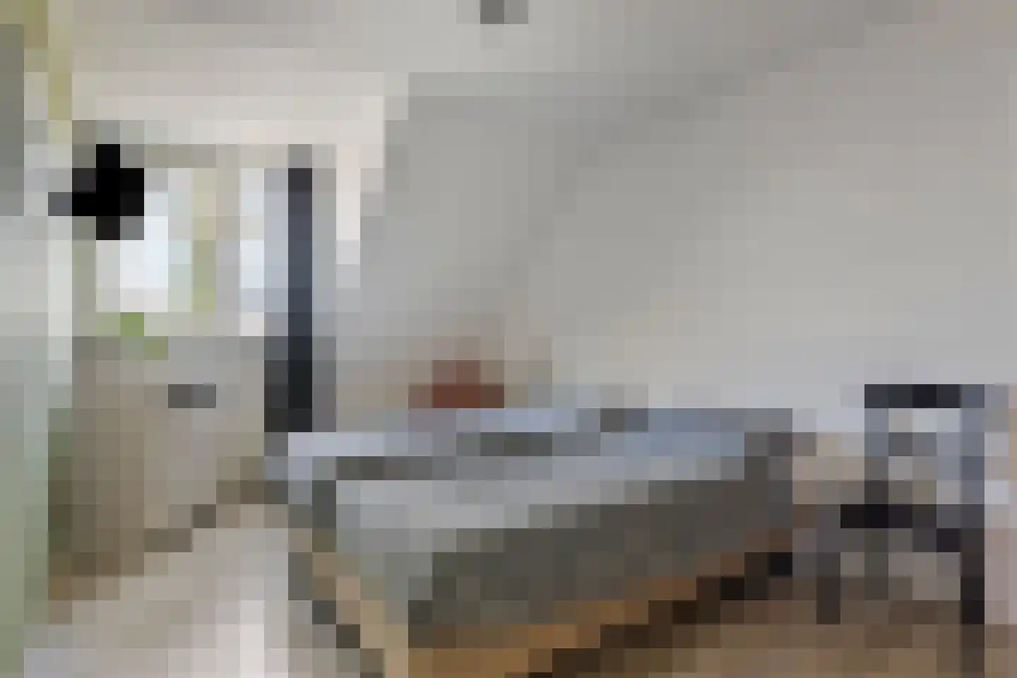 Mulderskamp 33 Vorden thumbnail 22