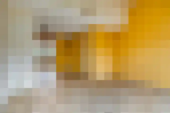 Mulderskamp 59 Goor thumbnail 10