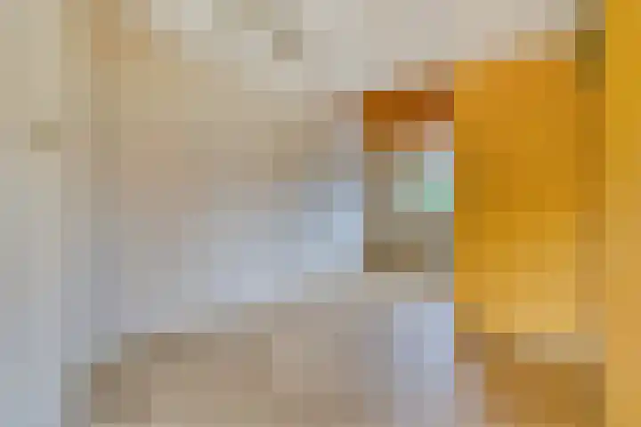 Mulderskamp 59 Goor thumbnail 11