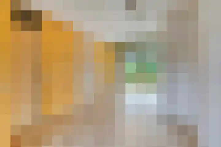 Mulderskamp 59 Goor thumbnail 12