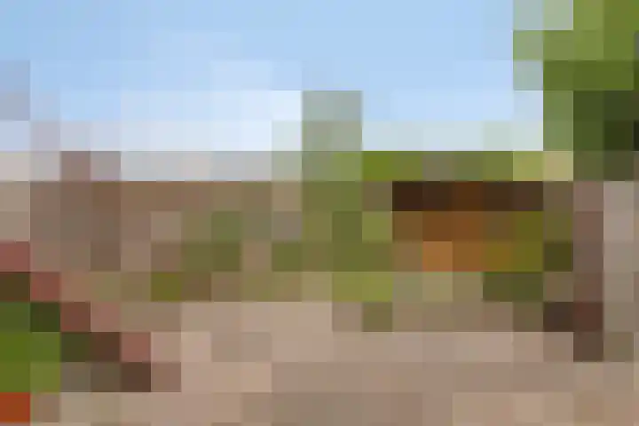 Mulderskamp 59 Goor thumbnail 30