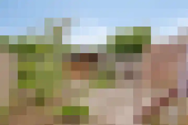Mulderskamp 59 Goor thumbnail 31