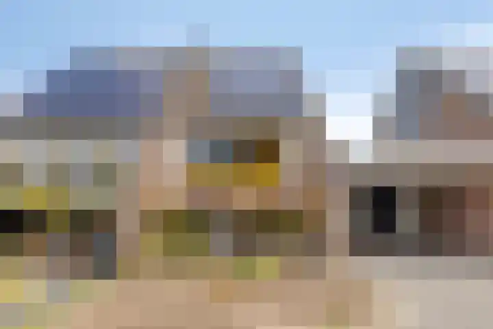 Mulderskamp 59 Goor thumbnail 34