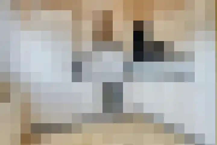 Mulderskamp 59 Goor thumbnail 5
