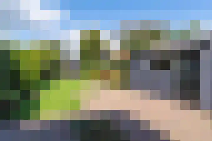 Mulderslaan 87 Veenendaal thumbnail 27