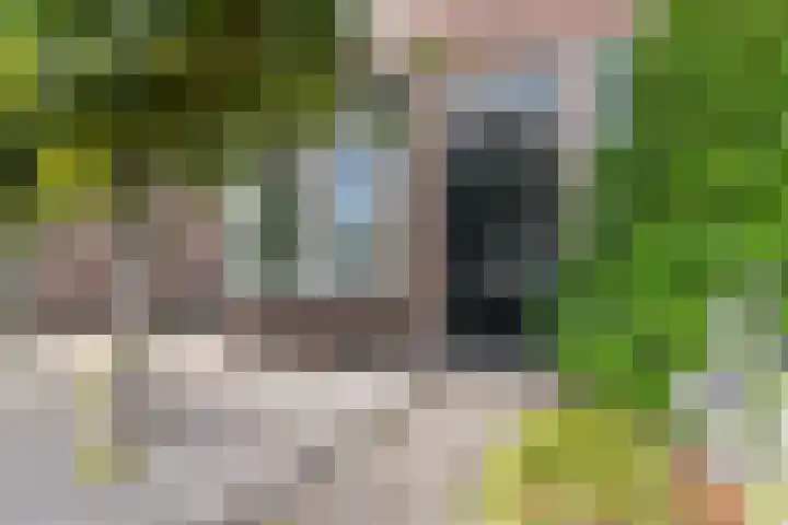 Mulderslaan 87 Veenendaal thumbnail 4