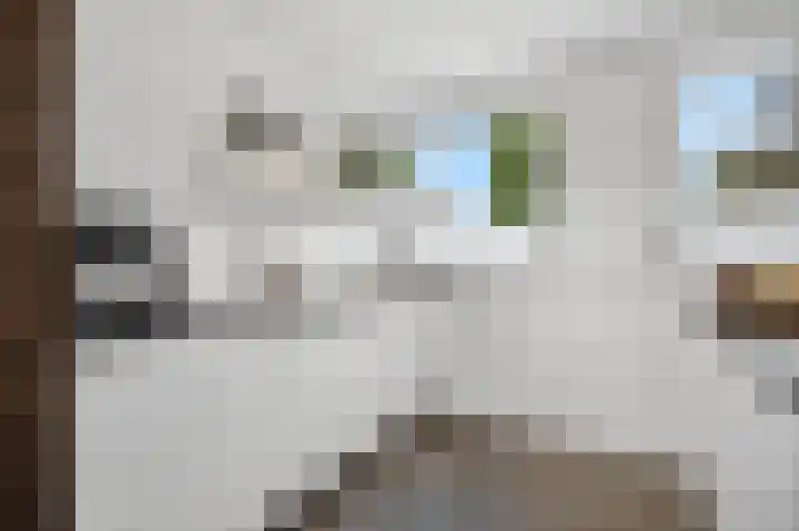 Mulderspad 1 Raamsdonksveer thumbnail 16