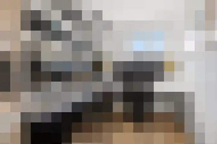 Mulderspad 1 Raamsdonksveer thumbnail 22