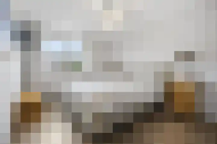 Mulderspad 1 Raamsdonksveer thumbnail 24