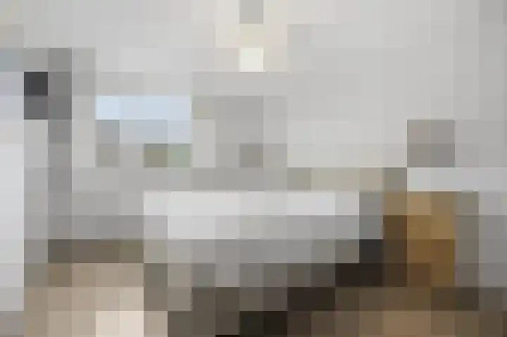 Mulderspad 1 Raamsdonksveer thumbnail 26