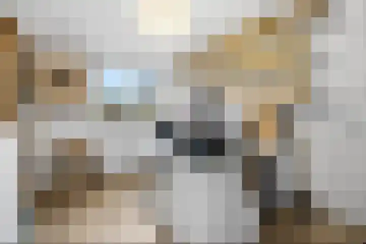 Mulderspad 1 Raamsdonksveer thumbnail 28