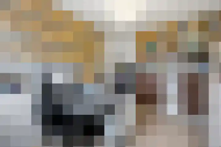 Mulderspad 1 Raamsdonksveer thumbnail 29