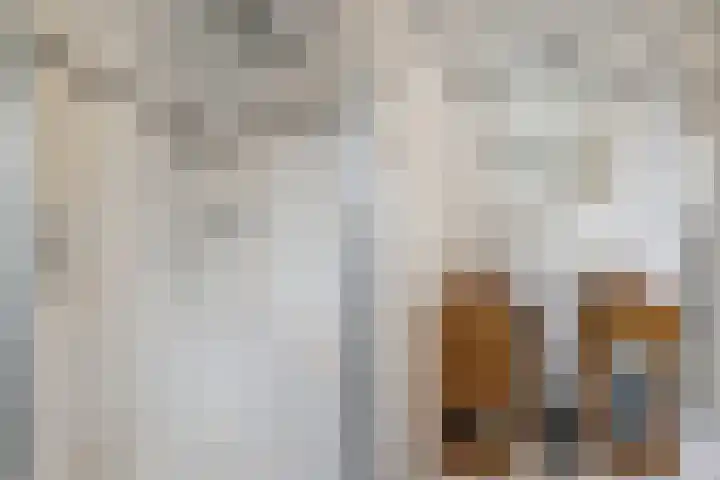 Mulderspad 1 Raamsdonksveer thumbnail 30
