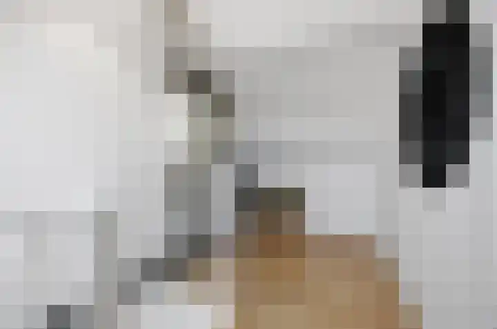 Mulderspad 1 Raamsdonksveer thumbnail 34