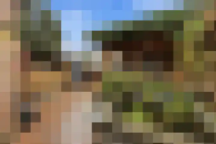 Mulderspad 1 Raamsdonksveer thumbnail 40
