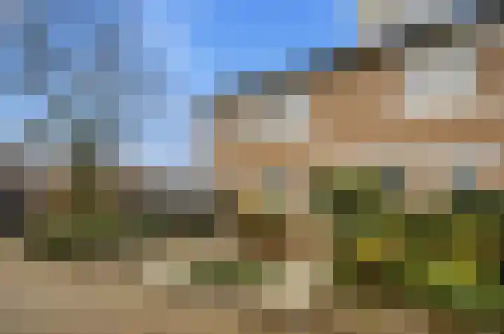 Mulderspad 1 Raamsdonksveer thumbnail 5