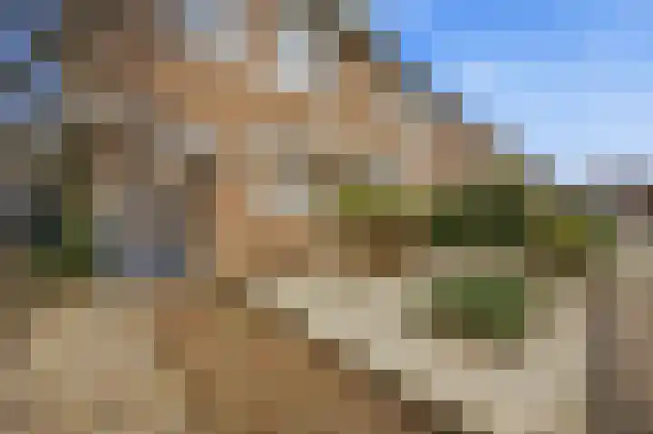 Mulderspad 1 Raamsdonksveer thumbnail 6
