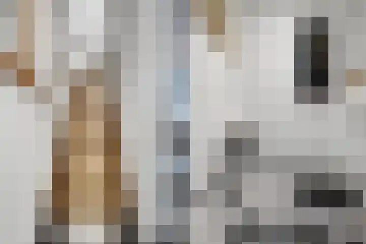 Mulderspad 1 Raamsdonksveer thumbnail 7