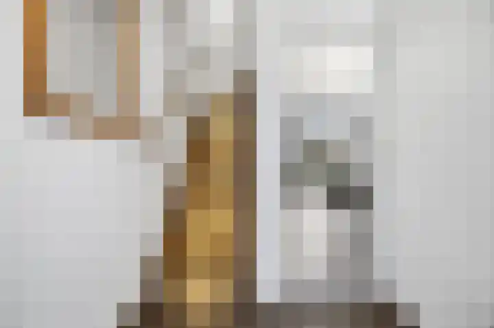 Mulderspad 1 Raamsdonksveer thumbnail 8