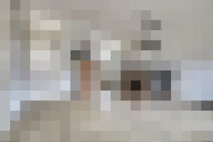Mulderspad 7 Raamsdonksveer thumbnail 12