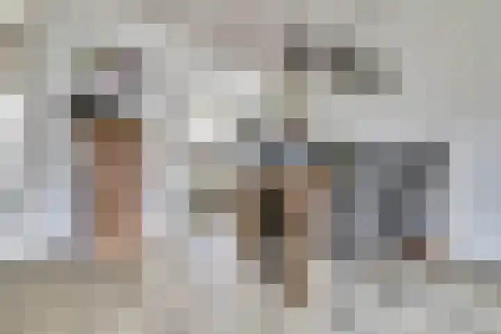 Mulderspad 7 Raamsdonksveer thumbnail 13
