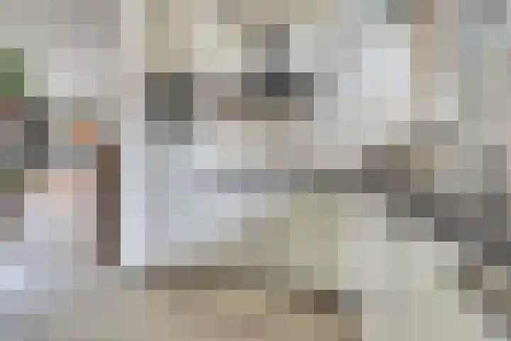 Mulderspad 7 Raamsdonksveer thumbnail 14