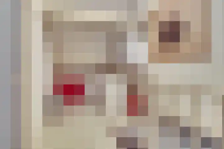 Mulderspad 7 Raamsdonksveer thumbnail 20