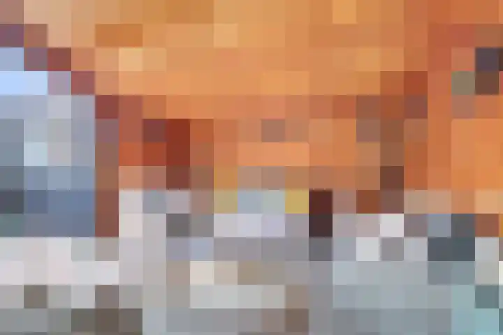 Mulderspad 7 Raamsdonksveer thumbnail 25