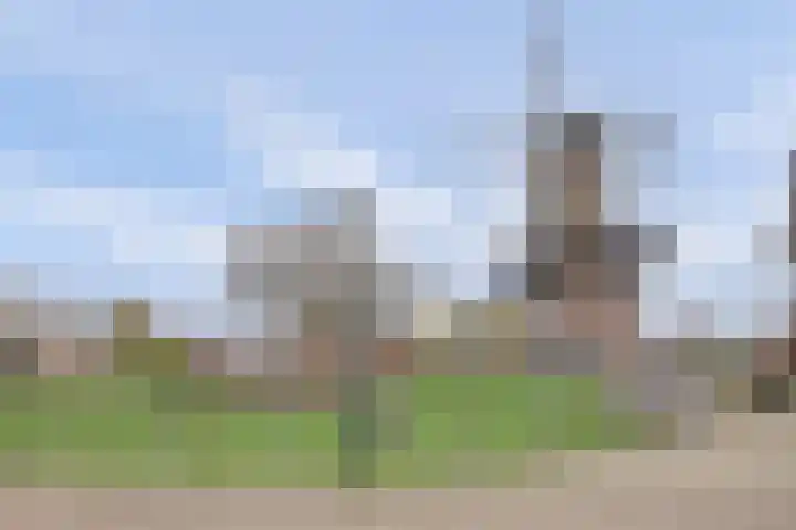 Mulderspad 7 Raamsdonksveer thumbnail 29