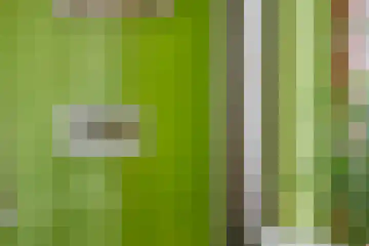 Muldersstraat 11 Dalfsen thumbnail 27