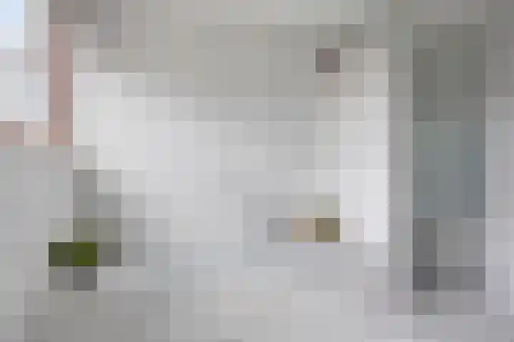 Muldersstraat 11 Dalfsen thumbnail 38