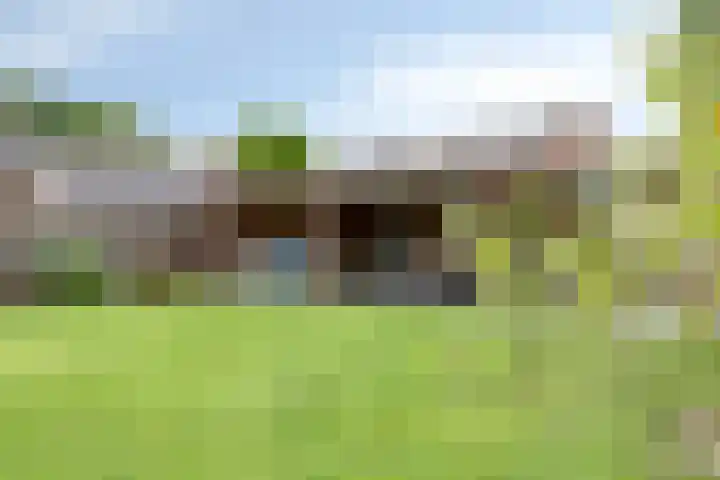 Muldersstraat 11 Dalfsen thumbnail 48