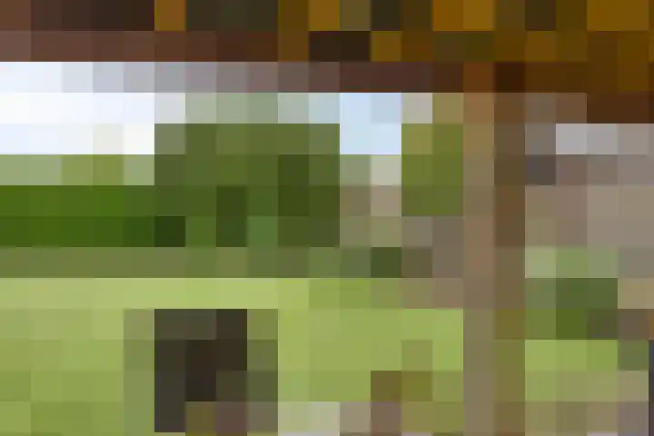 Muldersstraat 11 Dalfsen thumbnail 51
