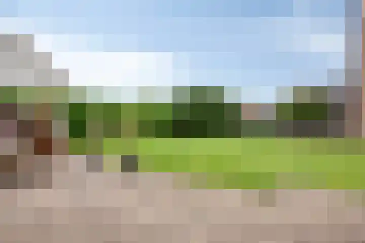 Muldersstraat 11 Dalfsen thumbnail 52