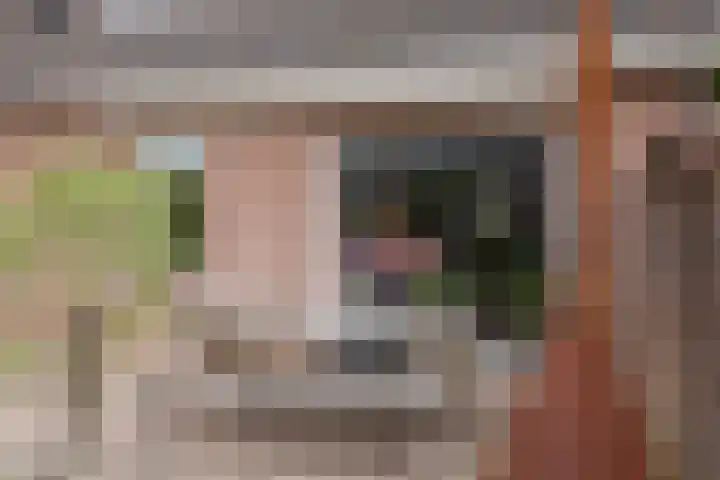 Muldersstraat 11 Dalfsen thumbnail 54