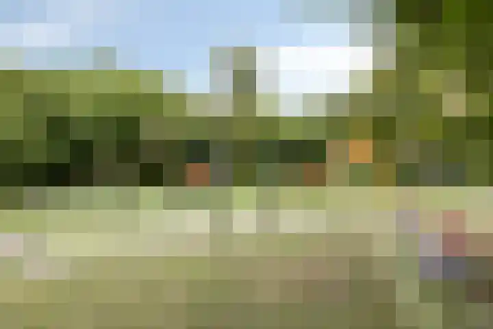 Muldersstraat 11 Dalfsen thumbnail 60