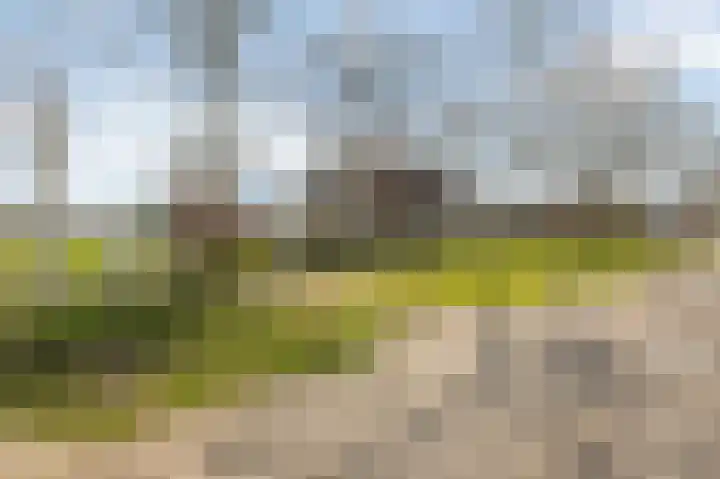 Mulderstraat 19 Echt thumbnail 10