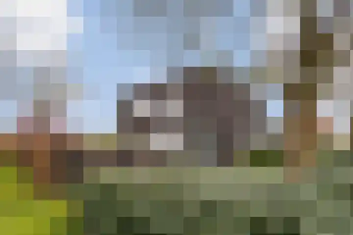 Mulderstraat 19 Echt thumbnail 11