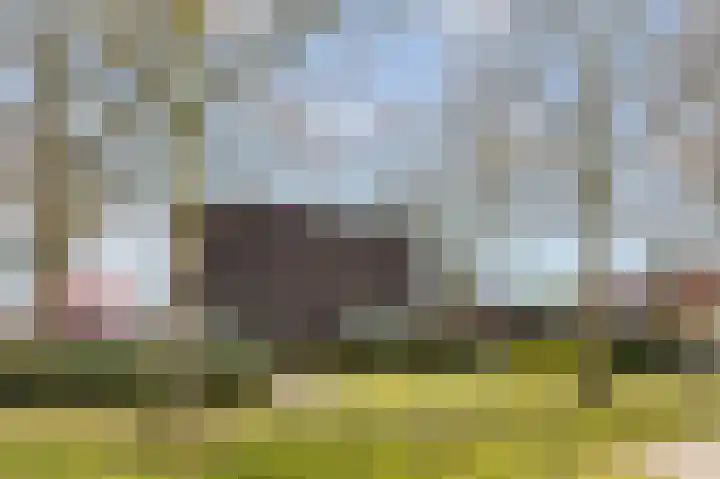 Mulderstraat 19 Echt thumbnail 12