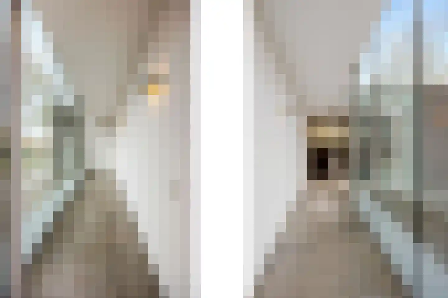 Mulderstraat 19 Echt thumbnail 15