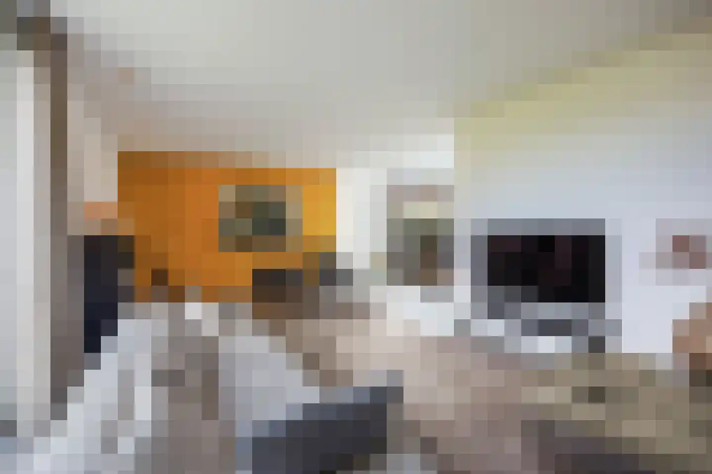 Mulderstraat 19 Echt thumbnail 20