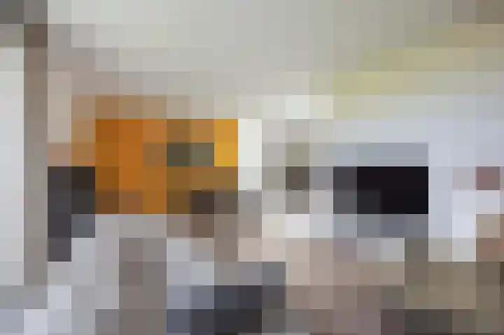 Mulderstraat 19 Echt thumbnail 20