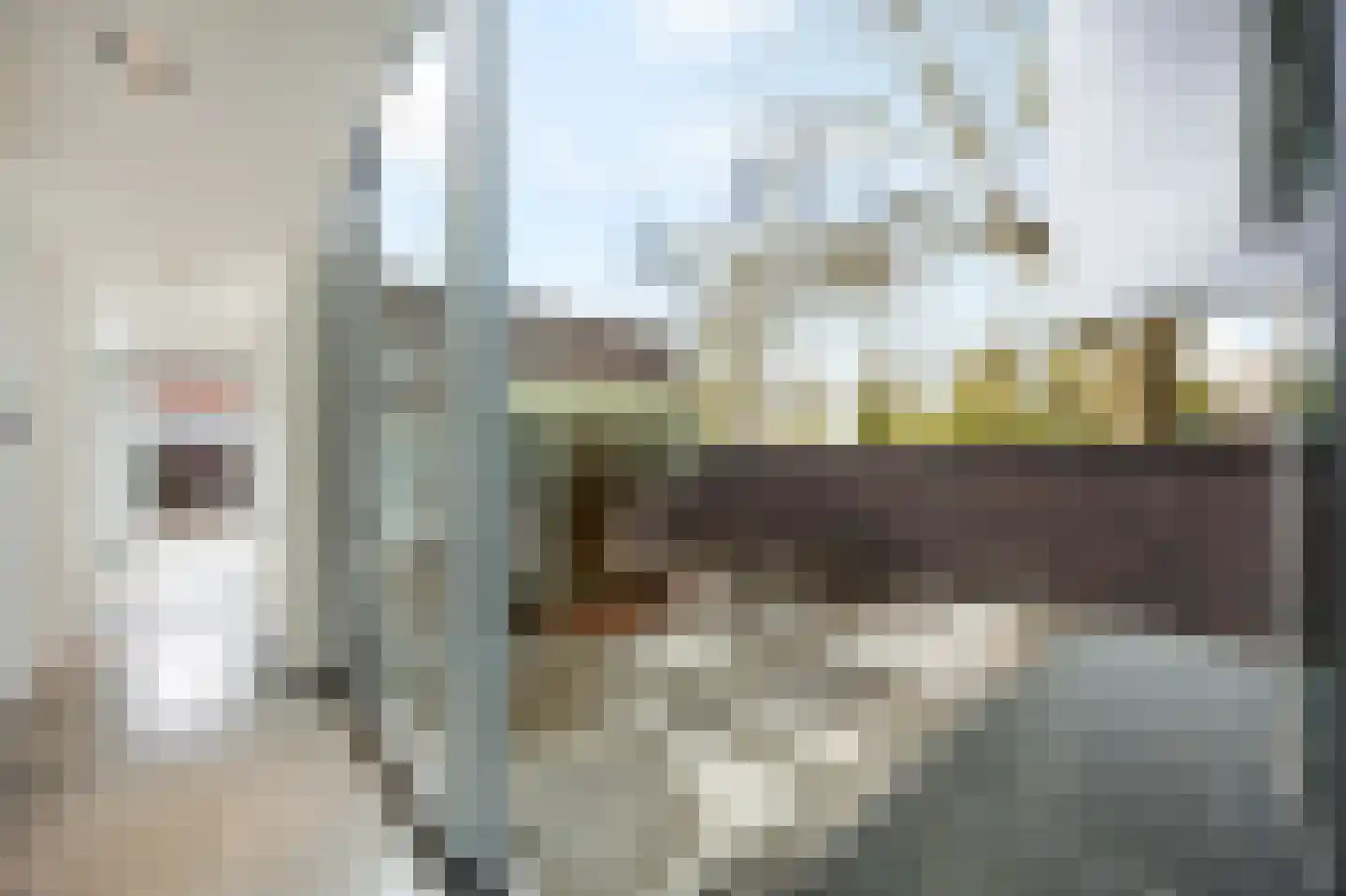 Mulderstraat 19 Echt thumbnail 27