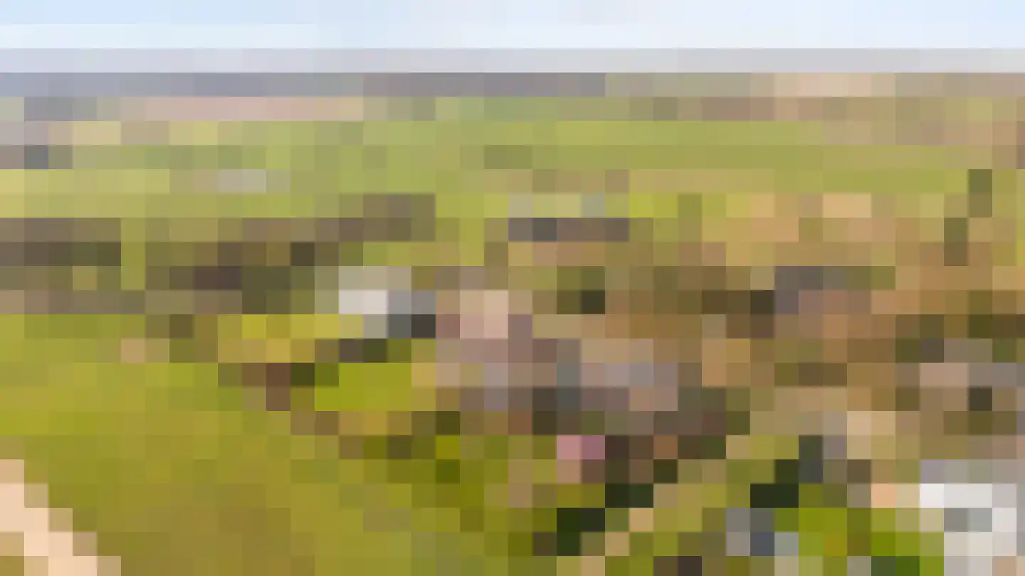 Mulderstraat 19 Echt thumbnail 4