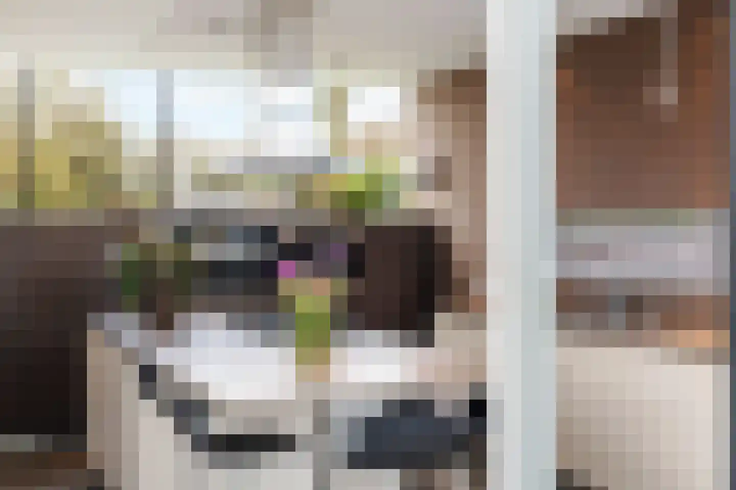 Mulderstraat 19 Echt thumbnail 46